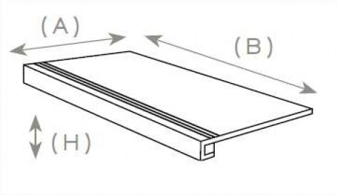 Top ranurado81